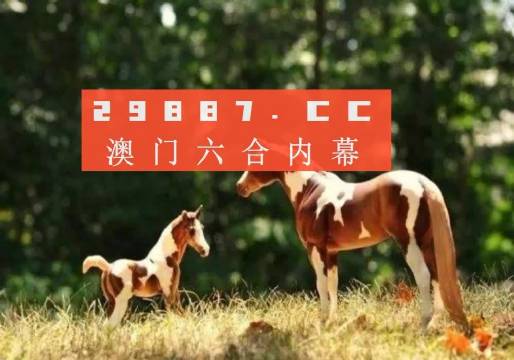 澳门49图库app安装指南，开启49图库下载新体验