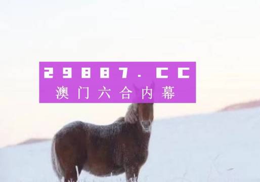 2024澳门今晚中必一肖一中特，揭开属于你的财富之门