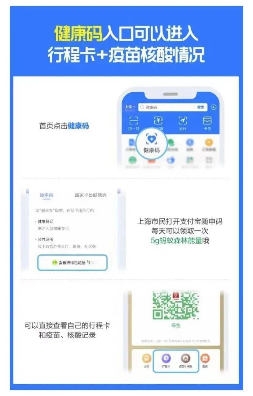 2023澳门码今晚开奖结果记录，揭秘背后的惊喜与规律！