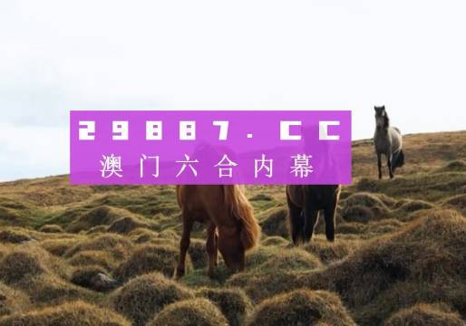 精准特马资料澳门2023开奖历史查询，助您赢得更多机会！