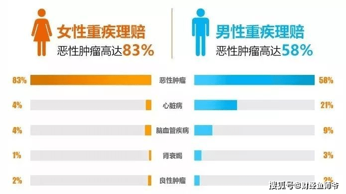 2023澳门资料大全免费完整版：全面揭秘澳门最全旅游资讯，助你畅游澳门