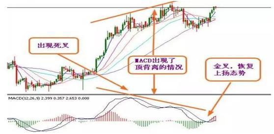 金彩网f49cc全年资料：破解玄机，助您轻松掌握全年趋势