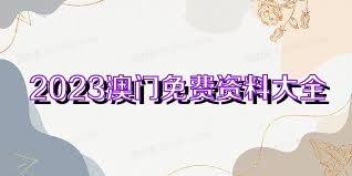 澳门正版资料免费大全2023年——玩转澳门资源的必备指南